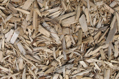 biomass boilers Parnacott